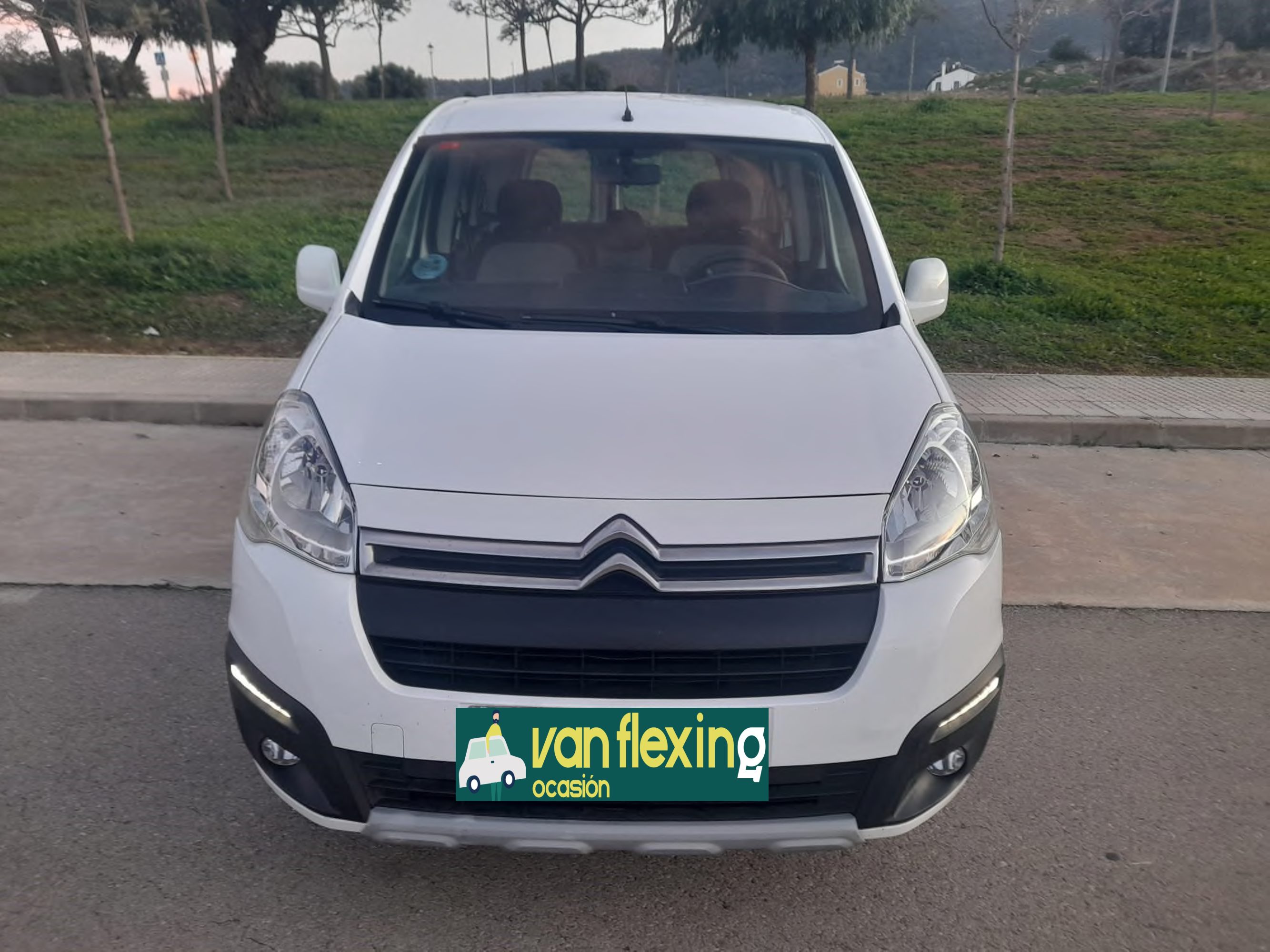 Citroen Berlingo  Multispace LIVE Edit.BlueHDi 74KW (100CV (AC)